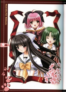 (C63) [JOKER TYPE (Nishimata Aoi)] rebirth (Sore wa Maichiru Sakura no Youni) - page 8