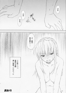 (C65) [LUNATIC WINGS (Shizaki Masayuki)] Hot Limit (Dead or Alive) - page 25
