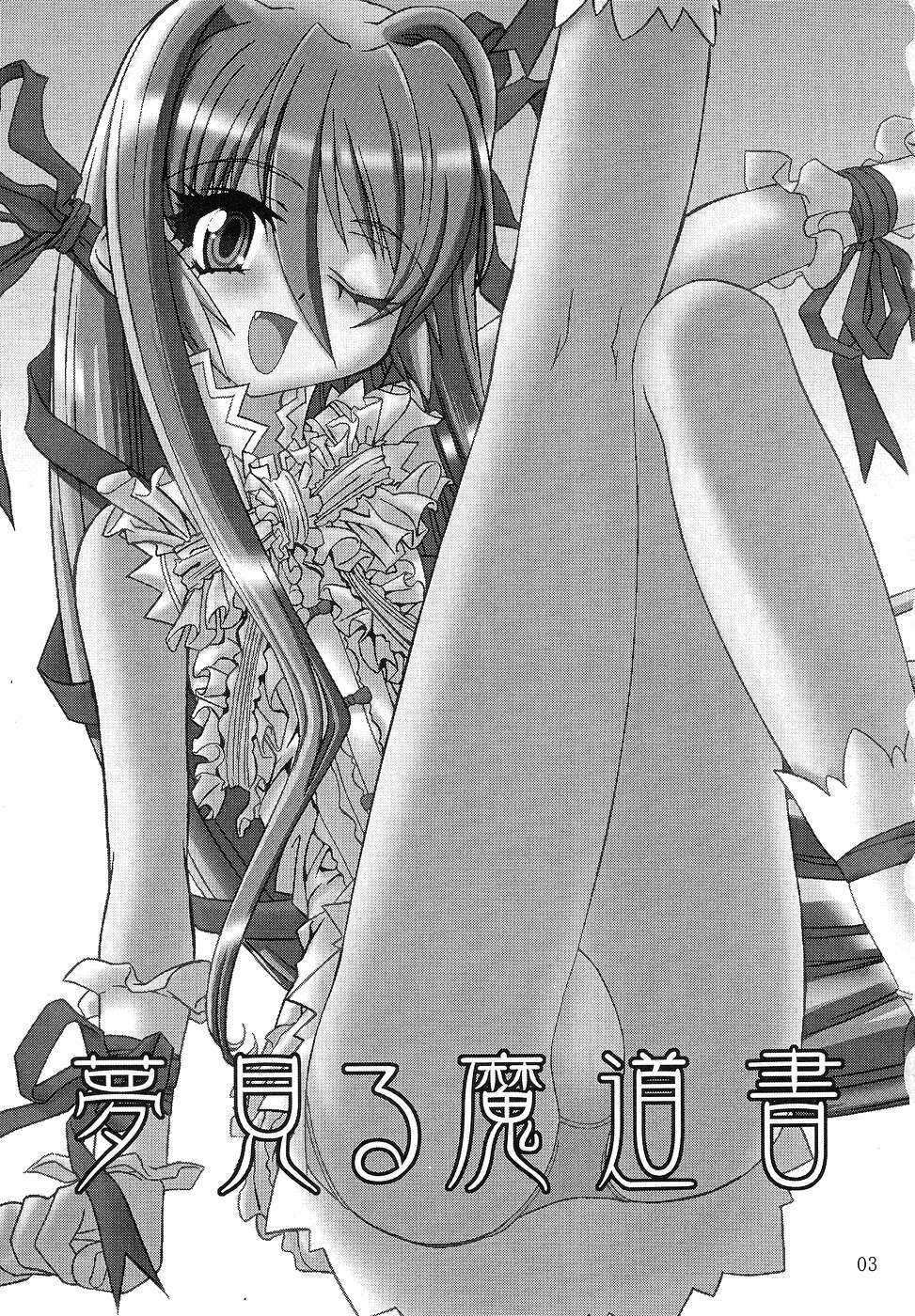 (C67) [Akai Suzume (Suzaku)] YUMEMIRUMADOUSYO (Demonbane) page 2 full