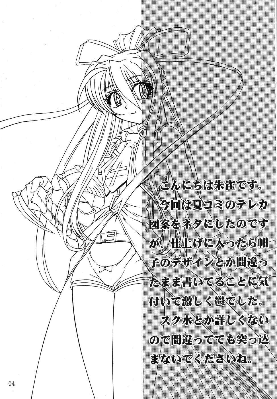 (C67) [Akai Suzume (Suzaku)] YUMEMIRUMADOUSYO (Demonbane) page 3 full