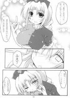 (C72) [Amadeus no Isan (Fujihara Shu, Aoba Shou)] Chichi Usagi e no Shohousen (Touhou Project) - page 12