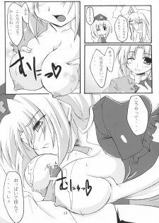 (C72) [Amadeus no Isan (Fujihara Shu, Aoba Shou)] Chichi Usagi e no Shohousen (Touhou Project) - page 13