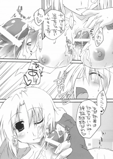 (C72) [Amadeus no Isan (Fujihara Shu, Aoba Shou)] Chichi Usagi e no Shohousen (Touhou Project) - page 25