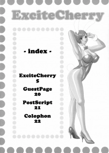 (C68) [Angel Ravishment. (jet)] Excite Cherry (Dead or Alive) - page 3