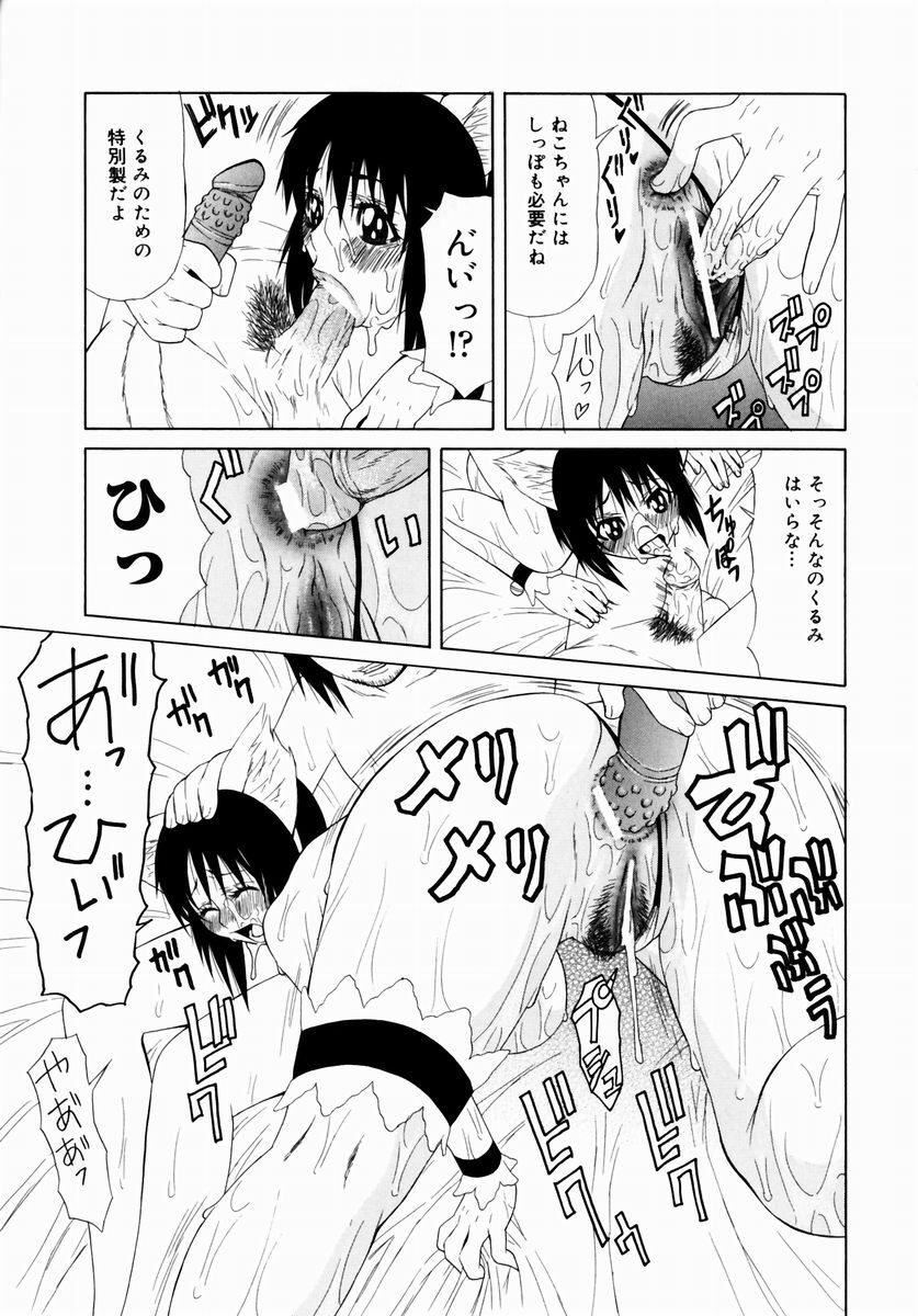 [Sasamine Hidetoshi] Crumble page 85 full