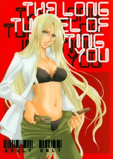 The Long Tunnel of Wanting You (Hellsing)