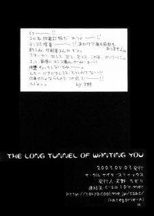 The Long Tunnel of Wanting You (Hellsing) - page 26