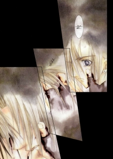 (C58) [Yuubin Basha (Akizuki Ryou)] TRAGIC KINGDOM (Final Fantasy VII) [English] [Dragonfly] - page 34