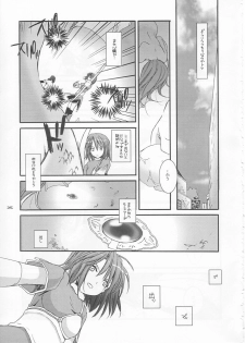 (C65) [Digital Lover (Nakajima Yuka)] D.L. action 21 (Ragnarok Online) - page 25