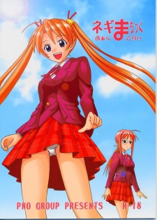 (C65) [PNO Group (Hase Yuu, Hikawa Yuuki)] Negima Chick Factory (Mahou Sensei Negima!)