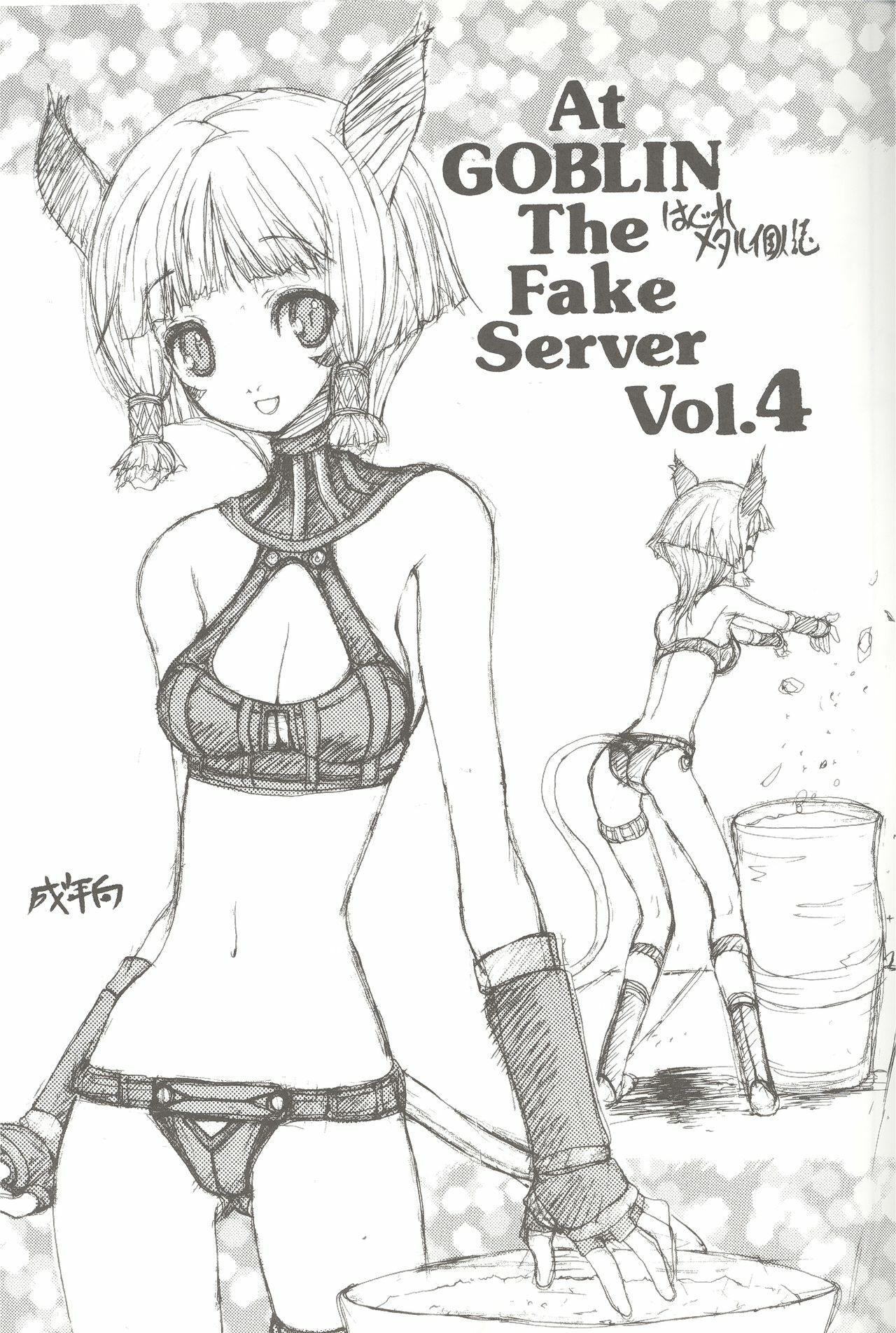 [ZINZIN] At Goblin The Fake Server Vol.4 (Final Fantasy XI) page 2 full
