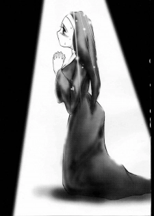 (C53) [Studio Vanguard (Twilight)] Haihin Shori (Dead or Alive) - page 27