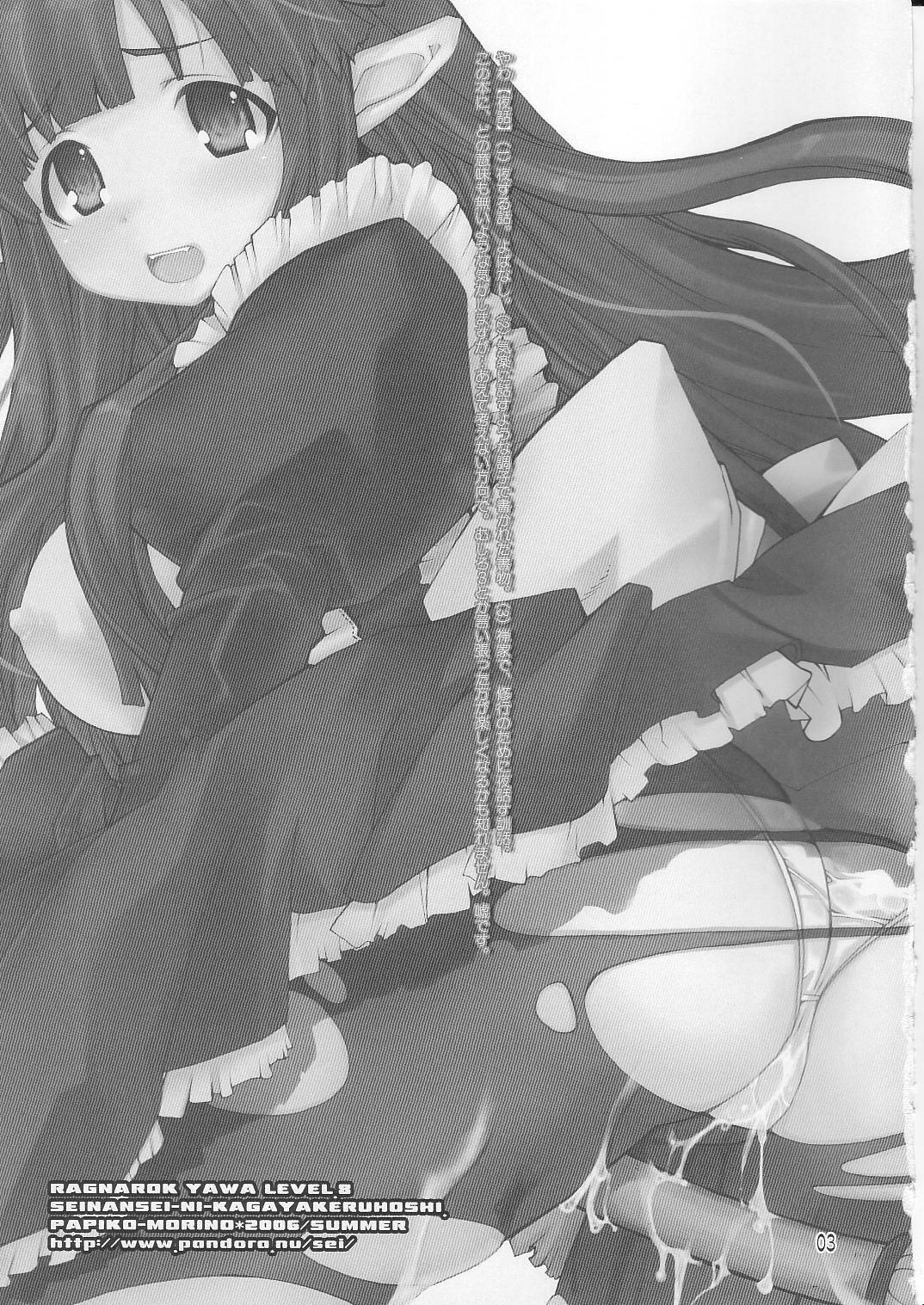 (C70) [Seinansei ni Kagayakeru Hoshi (Morino Papiko)] Ragnarok Yawa Level.8 (Ragnarok Online) page 2 full