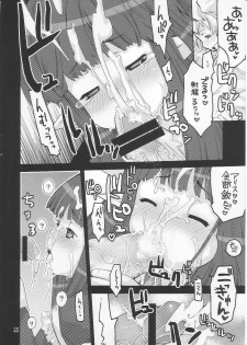 (C70) [Seinansei ni Kagayakeru Hoshi (Morino Papiko)] Ragnarok Yawa Level.8 (Ragnarok Online) - page 15