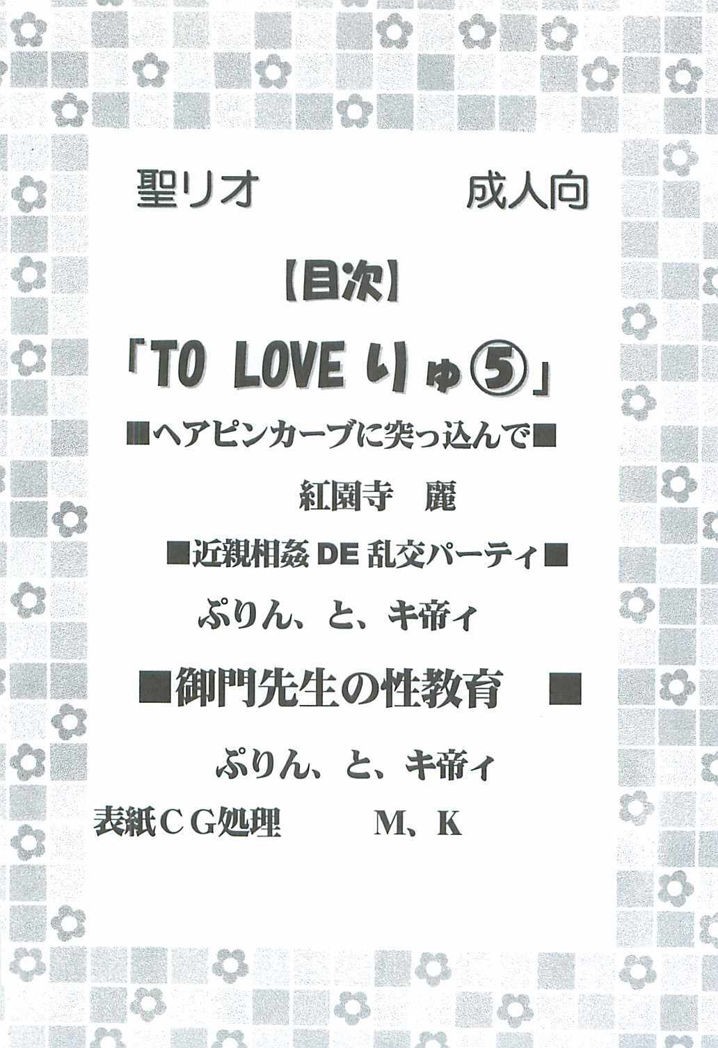 (C72) [St. Rio (Kitty, Purin, Kouenji Rei)] ToLOVE Ryu 5 (To LOVE-Ru) page 3 full