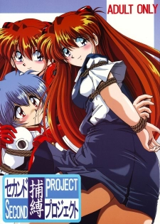 (CR36) [Thirty Saver Street 2D Shooting (Maki Hideto, Sawara Kazumitsu)] Second Hobaku Project (Neon Genesis Evangelion) [English]