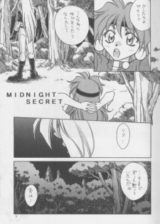 (C51) [Pinky Heaven (Hinoki)] W-Mix (Slayers) - page 4