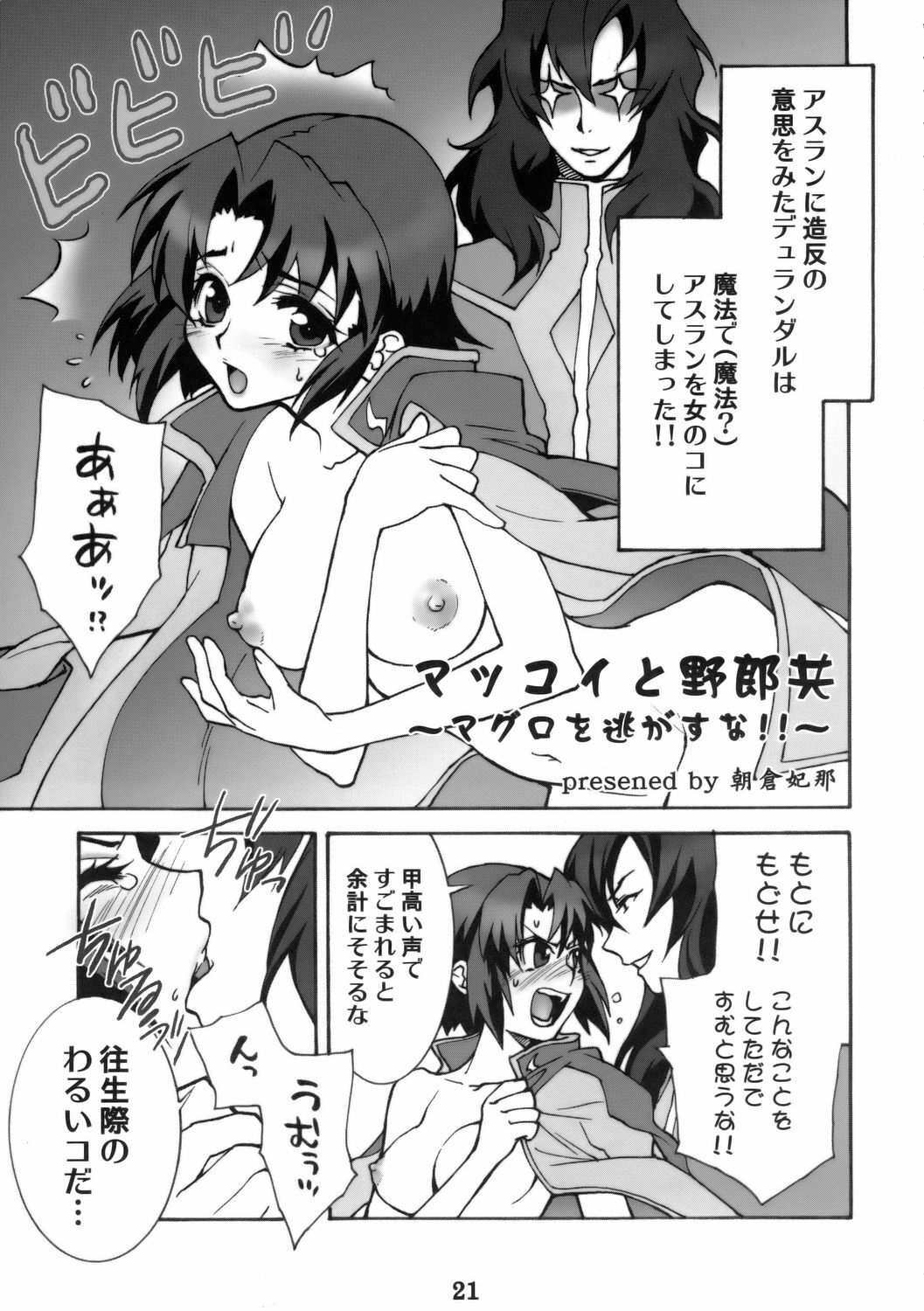 (C68) [DIGITAL ACCEL WORKS (INAZUMA.)] Super Freedom (Gundam SEED DESTINY) page 20 full