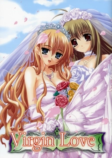 (SC32) [TAMARANCHI (Shinbo Tamaren)] Virgin Love (Otome wa Boku ni Koishiteru)