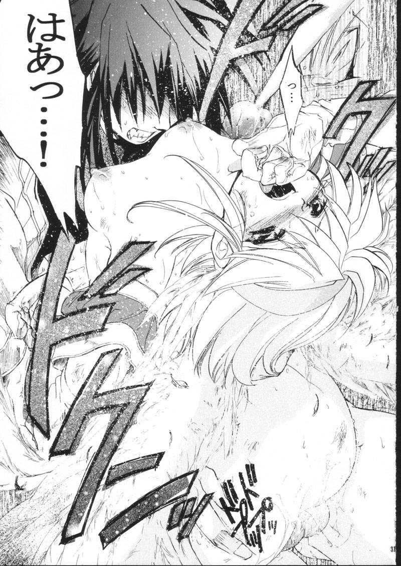(C61) [Toko-ya (HEIZO, Kitoen)] side:NINA - Ryuu no Me no Fuukei ~ second (Breath Of Fire) page 31 full