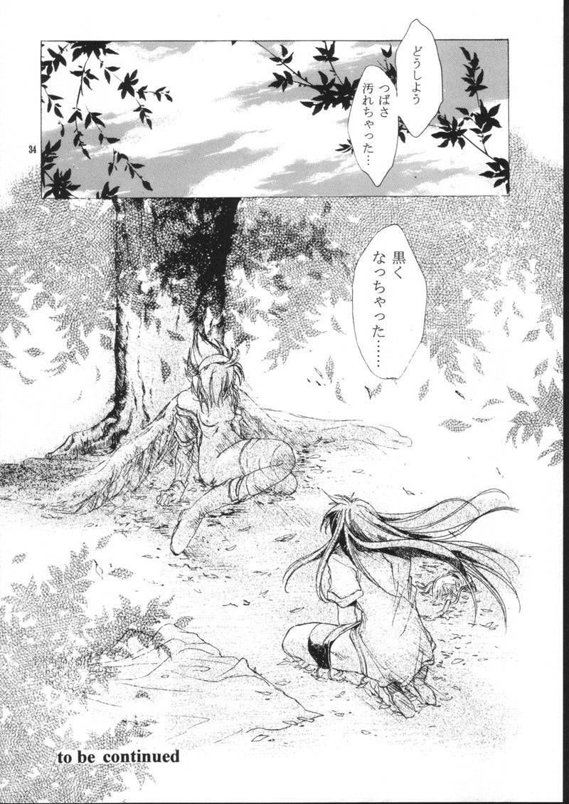(C61) [Toko-ya (HEIZO, Kitoen)] side:NINA - Ryuu no Me no Fuukei ~ second (Breath Of Fire) page 34 full