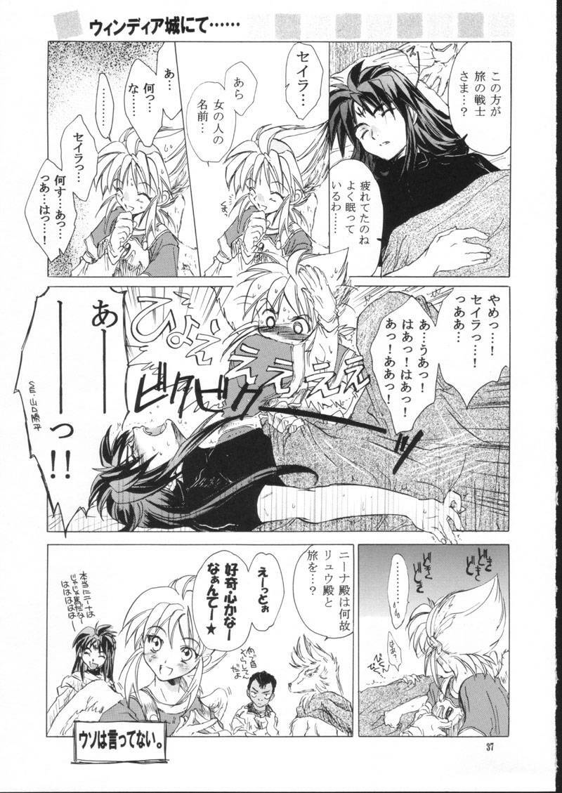 (C61) [Toko-ya (HEIZO, Kitoen)] side:NINA - Ryuu no Me no Fuukei ~ second (Breath Of Fire) page 37 full