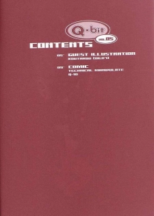 (C60) [Q-bit (Q-10)] Q-bit Vol. 05 - Accident of Lara Croft (Tomb Raider) - page 3