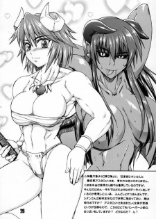 (C68) [SHD (Buchou Chinke)] Red Angel R (Galaxy Angel) - page 25