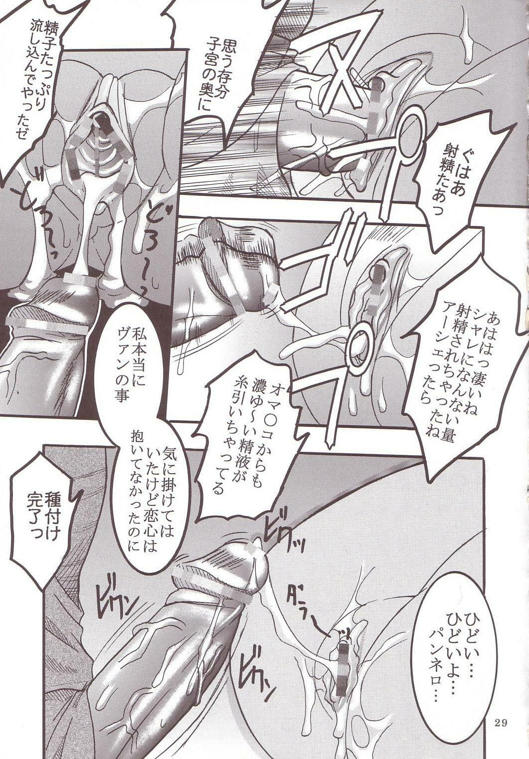 [St. Rio (Kitty)] ASHE OF JOY TOY (Final Fantasy XII) page 30 full