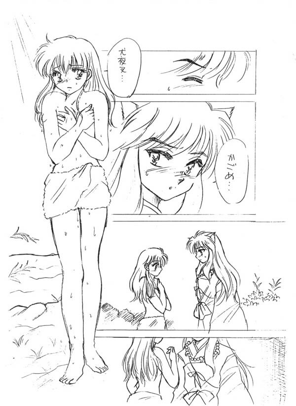 (C67) [PINK WOLF (Momomiya Anzu, Inugami Rou)] Abunai Doyoubi (Inuyasha) page 4 full