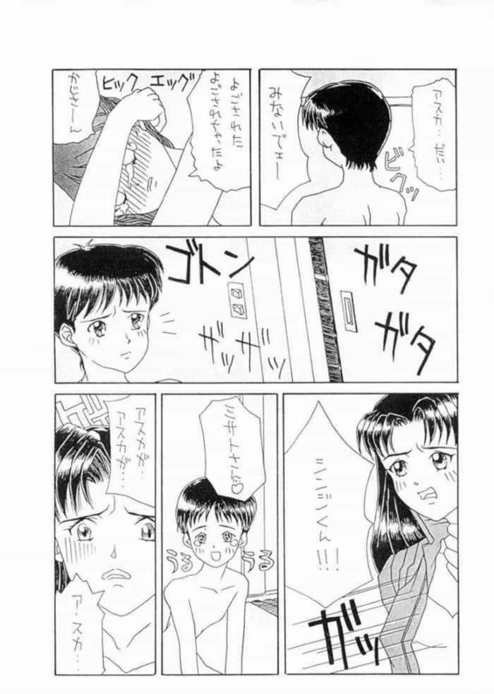 [Kotobuki Mikoto] Akairo (Neon Genesis Evangelion) page 18 full
