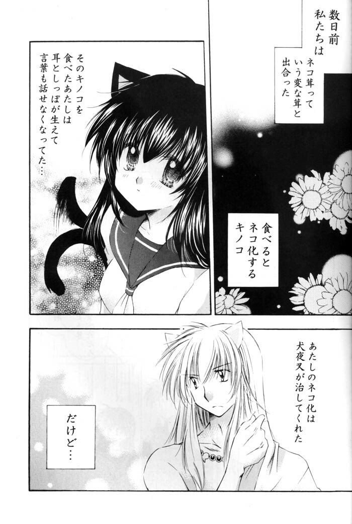 [Sakurakan (Seriou Sakura)] Neko Moe 2 (Inuyasha) page 4 full