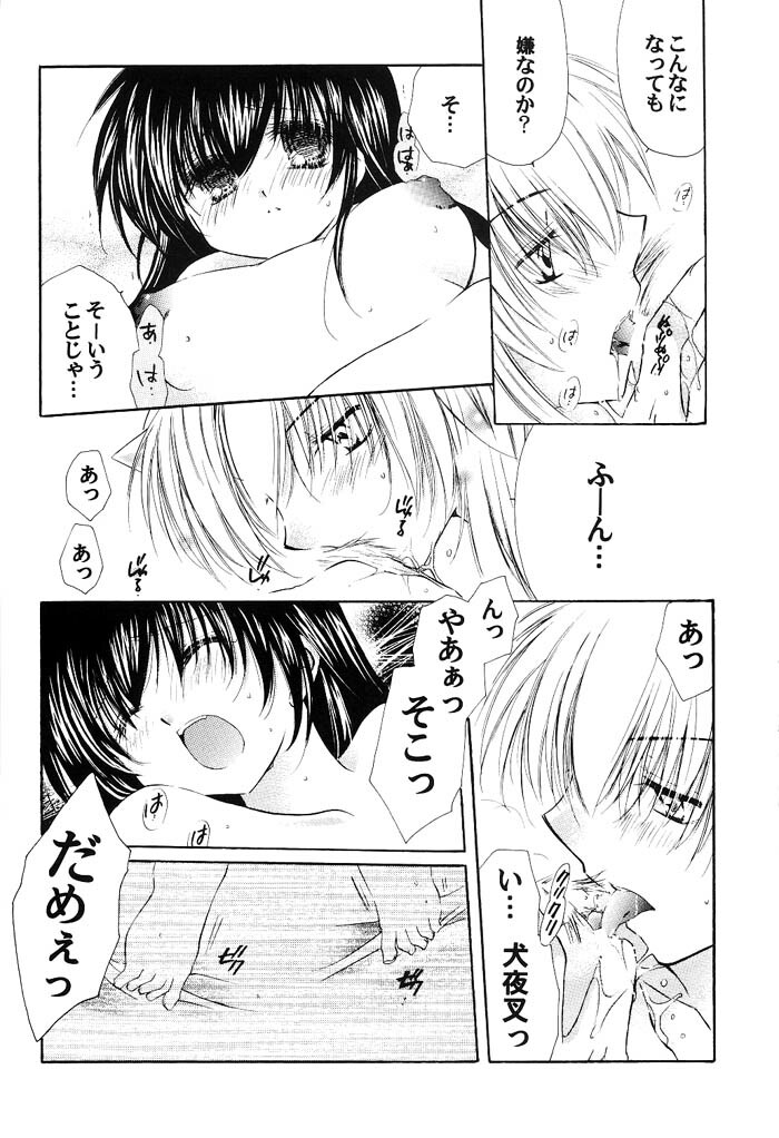 (C66) [Sakurakan (Seriou Sakura)] Junai Romanesque (Inuyasha) page 17 full