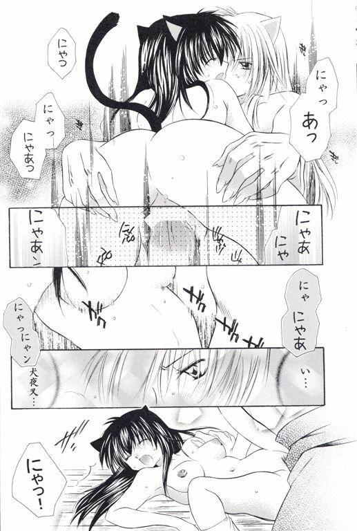 [Sakurakan (Seriou Sakura)] Neko Moe (Inuyasha) page 21 full