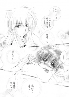 (C68) [Sakurakan (Seriou Sakura)] Kimagure Sousei (Inuyasha) - page 44