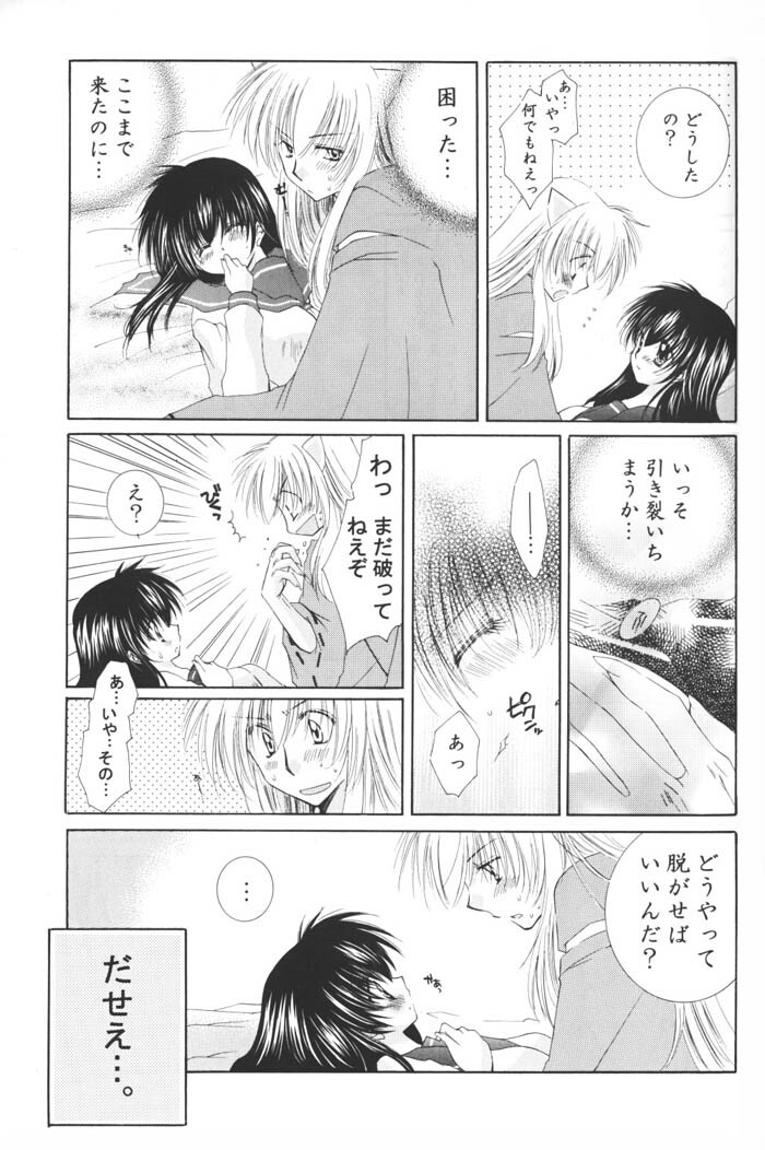 (C69) [Sakurakan (Seriou Sakura)] Hoshi no furitsumoru yoru ni (Inuyasha) page 53 full