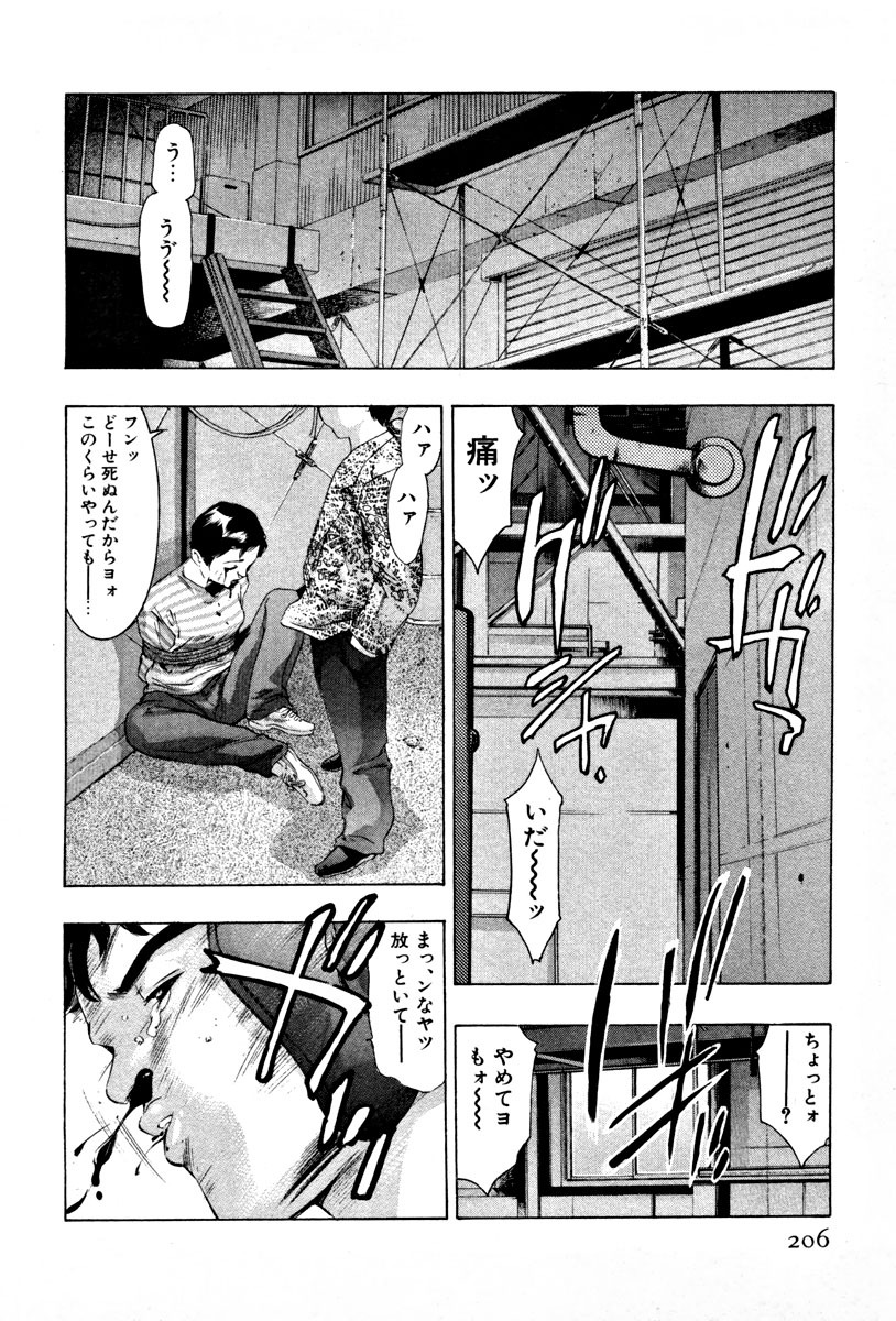 [Onikubo Hirohisa] Mehyou - Female Panther Vol. 4 page 208 full