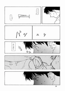(CR21) [Chibi Chibi Neko Neko (PTOMAINE, Toria)] Yo Raide Ken Eru Getsu (Neon Genesis Evangelion) - page 21