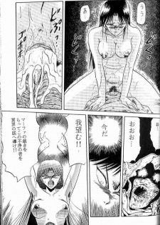[Wakuwaku Doubutsuen] Deedlit Hon (Lodoss Tou Senki / Record of Lodoss War) - page 17