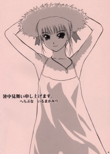 (C68) [Hellabunna (Iruma Kamiri)] Mubou Deshita. (Gundam SEED Destiny) - page 6
