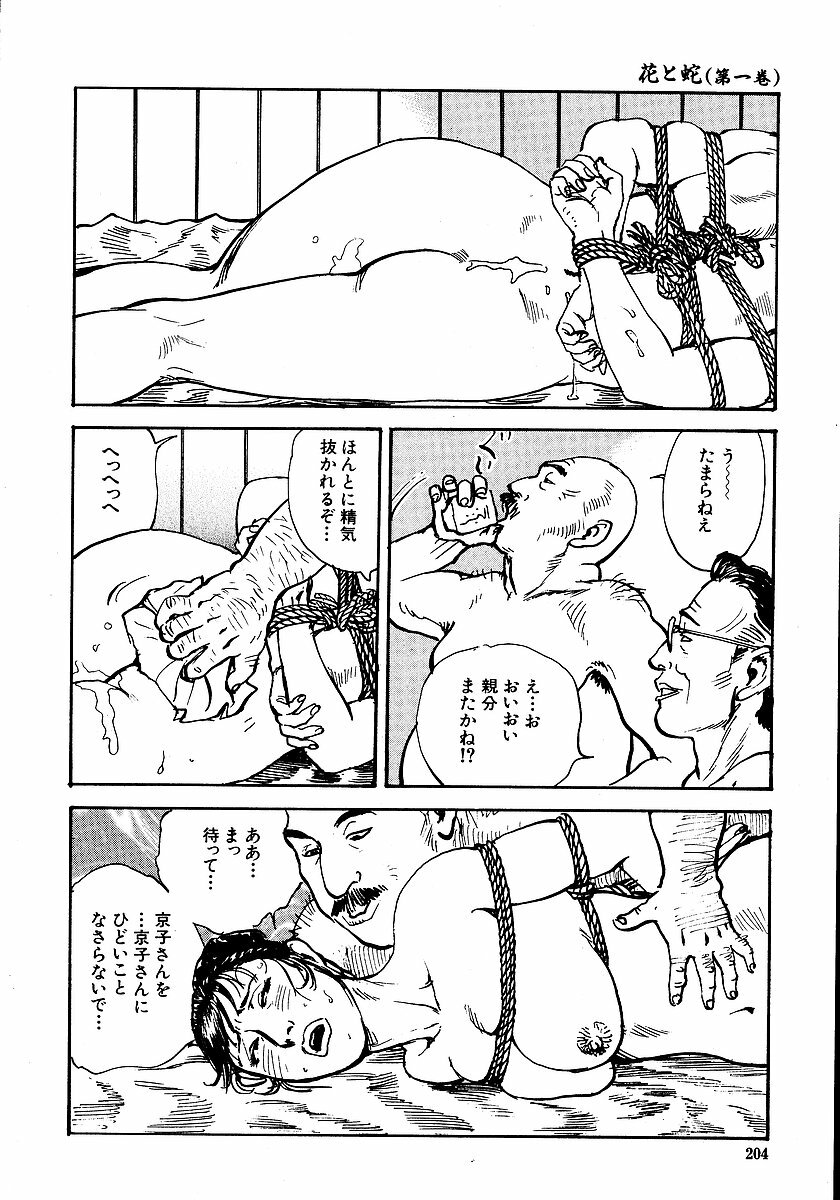 [Osada Kaname, Dan Oniroku] Hana to Hebi 1 page 209 full