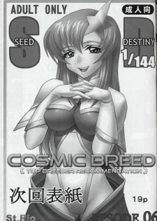 [St. Rio (Kitty, Kouenji Rei)] COSMIC BREED 5 (Gundam SEED DESTINY) - page 20