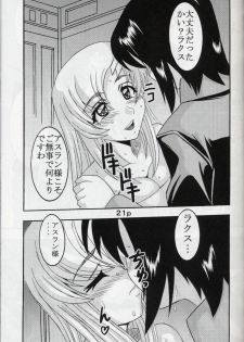 [St. Rio (Kitty, Kouenji Rei)] COSMIC BREED 5 (Gundam SEED DESTINY) - page 22