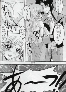 [St. Rio (Kitty, Kouenji Rei)] COSMIC BREED 5 (Gundam SEED DESTINY) - page 23