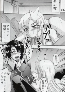 [St. Rio (Kitty, Kouenji Rei)] COSMIC BREED 5 (Gundam SEED DESTINY) - page 25