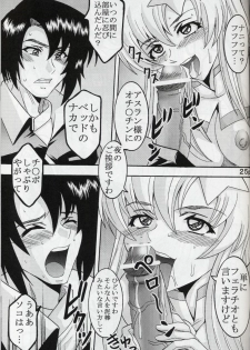 [St. Rio (Kitty, Kouenji Rei)] COSMIC BREED 5 (Gundam SEED DESTINY) - page 26