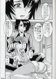 [St. Rio (Kitty, Kouenji Rei)] COSMIC BREED 5 (Gundam SEED DESTINY) - page 28