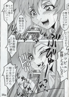 [St. Rio (Kitty, Kouenji Rei)] COSMIC BREED 5 (Gundam SEED DESTINY) - page 36