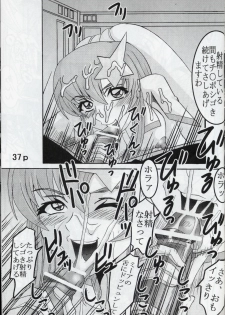 [St. Rio (Kitty, Kouenji Rei)] COSMIC BREED 5 (Gundam SEED DESTINY) - page 38