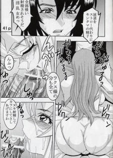 [St. Rio (Kitty, Kouenji Rei)] COSMIC BREED 5 (Gundam SEED DESTINY) - page 42